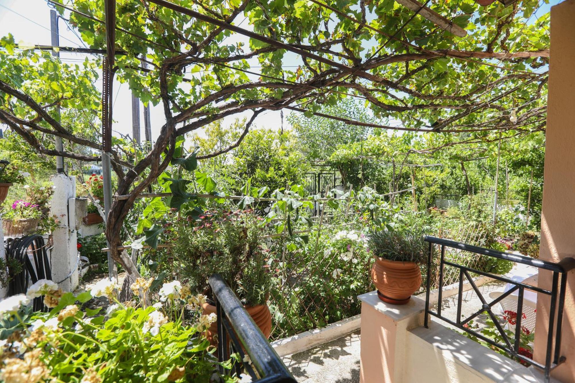 Natasha'S Home Perama (Corfu) Exterior foto